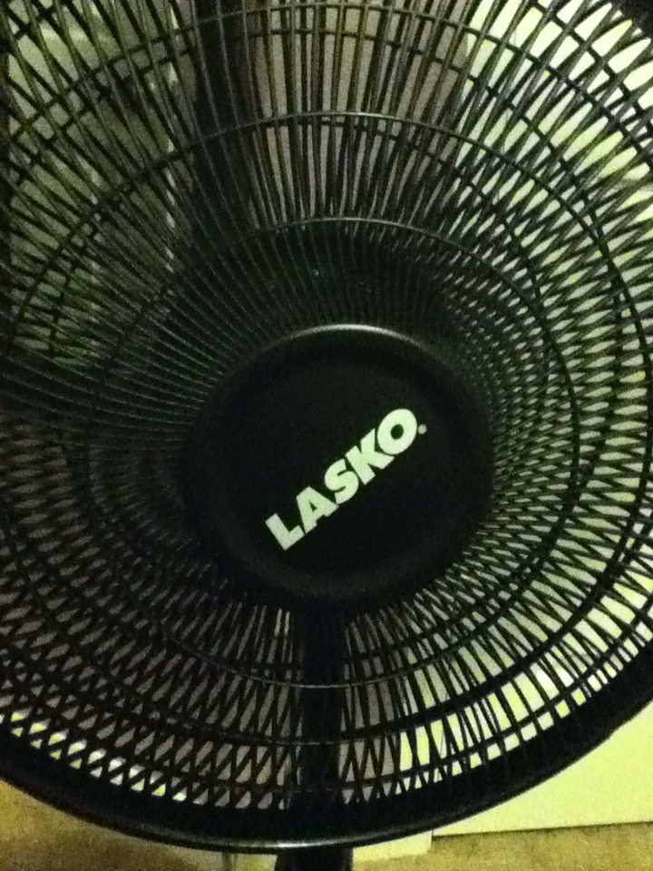 So a nigga ain&rsquo;t got no blow dryer in my house an I&rsquo;m black so