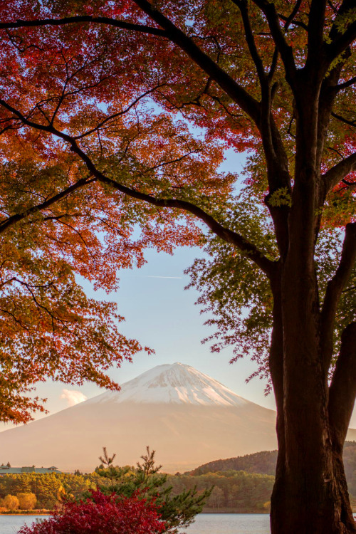 favorite-season:  Fully autumn by  Hidetoshi Kikuchi 