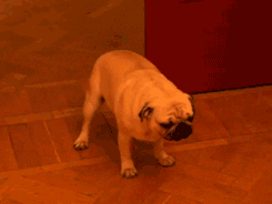 Mario Music Playing And Suddenly Stops