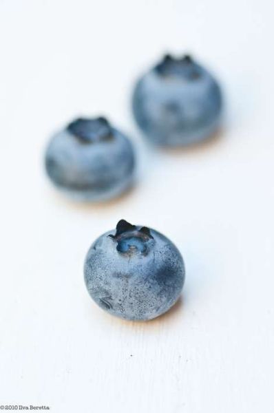 ~ Blue and White ~ #blueberries#blue white
