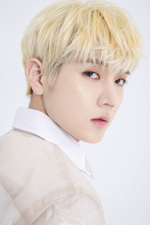 [OFFICIAL] Ren’s Profile Photo from NU’EST Japan’s Website. ( 1 )