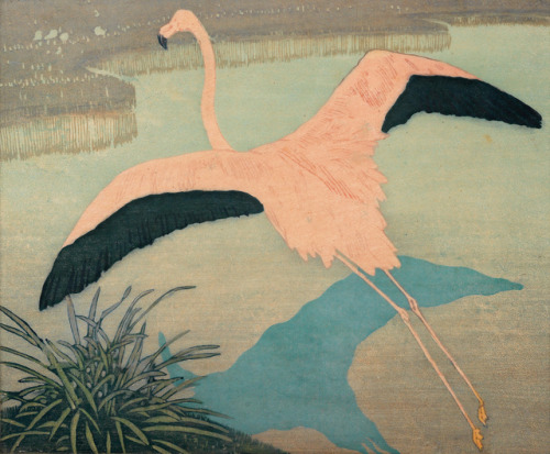 Carl Moser - Flamingo - 1922 - via Wikimedia 