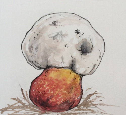 well here’s the last 3 days of inktober, apples frogs and fungi!