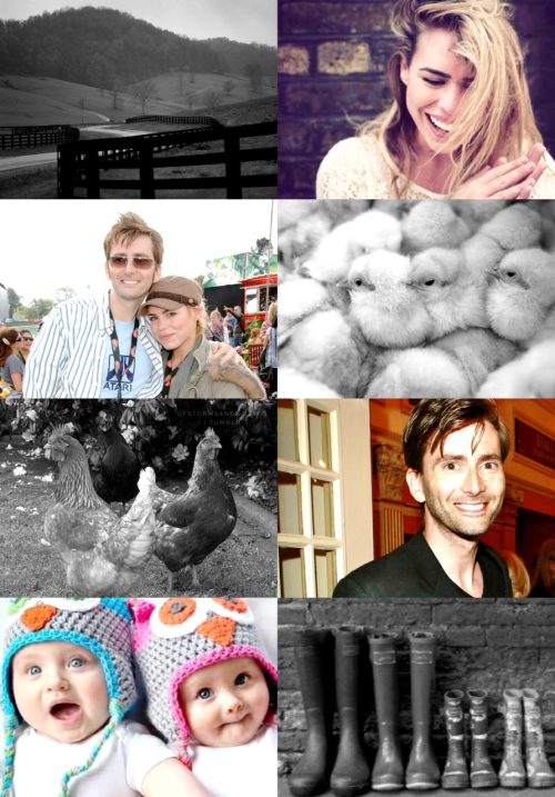 ofstormsandwolves:  Organic FarmingRated TeenKidfic/ Family  The Duplicate Doctor purchases something without consulting Rose about it first, and it will completely change their lives.  Read on FF.Net | Teaspoon | AO3 (for those with accounts)