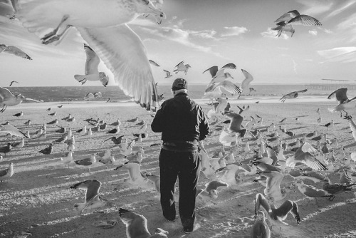 The New York Chronicles (by Luc Kordas)
