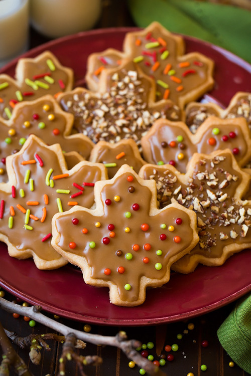 foodffs:Glazed Maple Shortbread CookiesReally nice recipes. Every hour.Show me what you cooked!