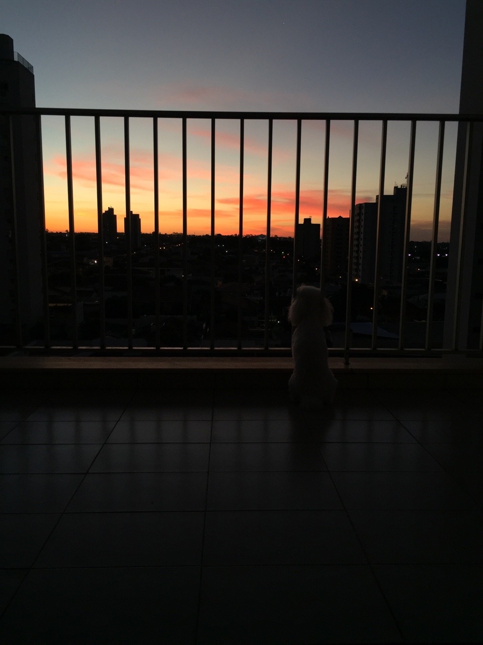 I just want you to be happy, dear.