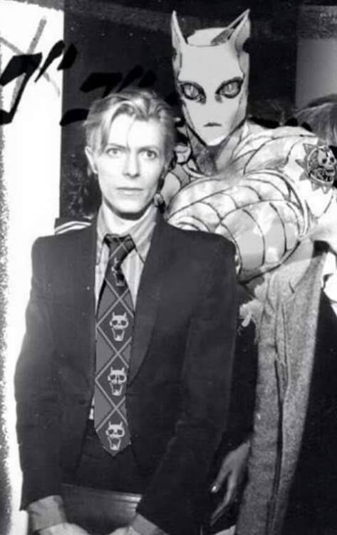miradefeciofernando:  My kink: real life pictures of David Bowie with Killer Queen photoshopped in t