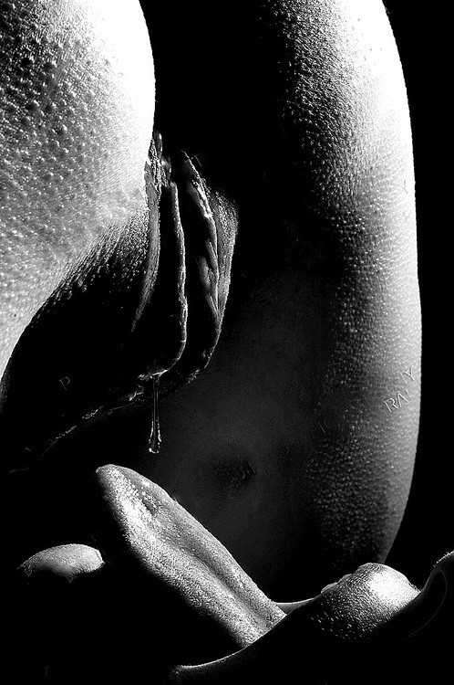 couldibebi.tumblr.com/post/60787800423/