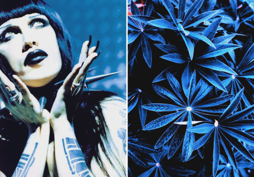 Pete Burns & Flowers