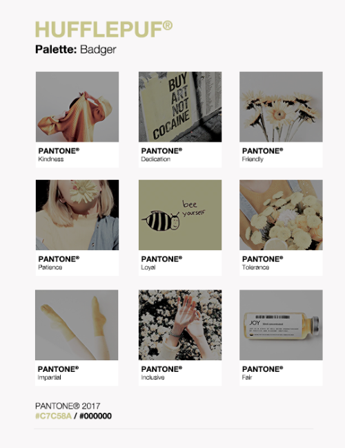 pequicks: PANTONE  Hogwarts Houses