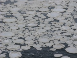 unlovd:  An ice disc, ice circle, or ice