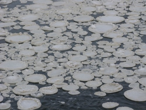 the-absolute-best-posts:  unlovd: An ice disc, ice circle, or ice pan is a natural phenomenon that occurs in slow moving water in cold climates. Ice circles form from slow rotating slabs of ice.   Via/Follow The Absolute Greatest Posts…ever.