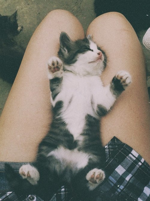 baby