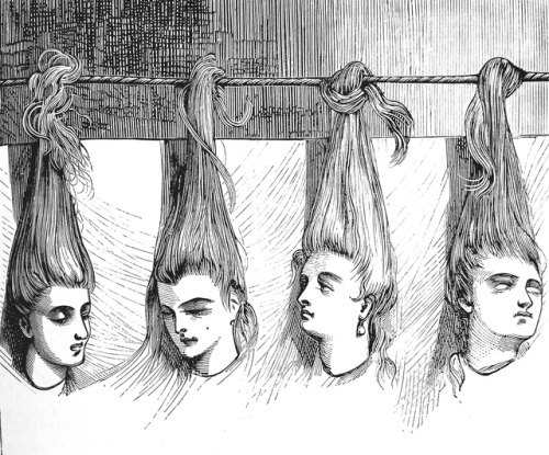 detroitlib: From our stacks: Illustration “Blue Beard.- “Four heads were hanging by their long hair 