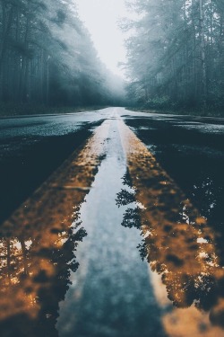 alecsgrg:  Moody | ( by Craig ) 