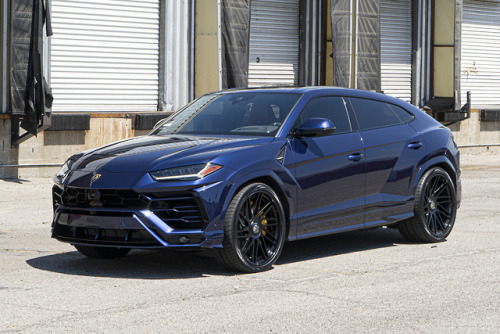 Lamborghini Urus on Forgiato Tecnica Series Wheels 