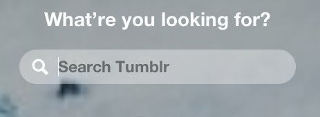 bumblelock:  if you have not discovered the snazzy catchphrases of the tumblr search