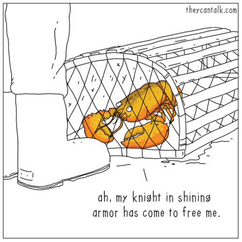 theycantalk: trapped lobster