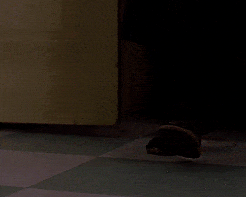 heartsofblood: THEBABYSITTER HORROR EVENT↳ WEEK ONE — FEMALE DIRECTED HORROR FILMPET SEMA heartsofblood: THEBABYSITTER HORROR EVENT↳ WEEK ONE — FEMALE DIRECTED HORROR FILMPET SEMA