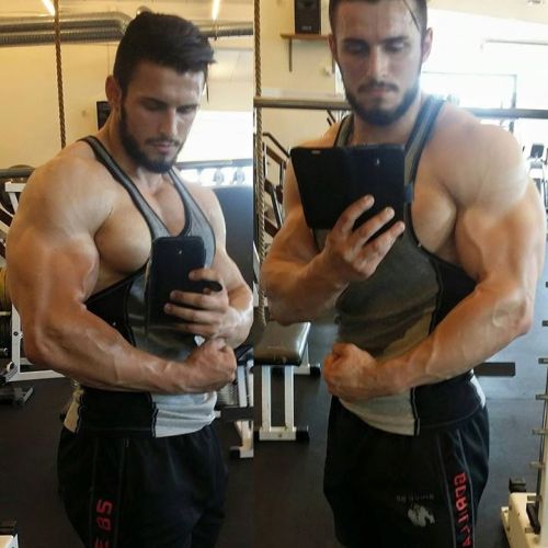 Sexy muscle guys