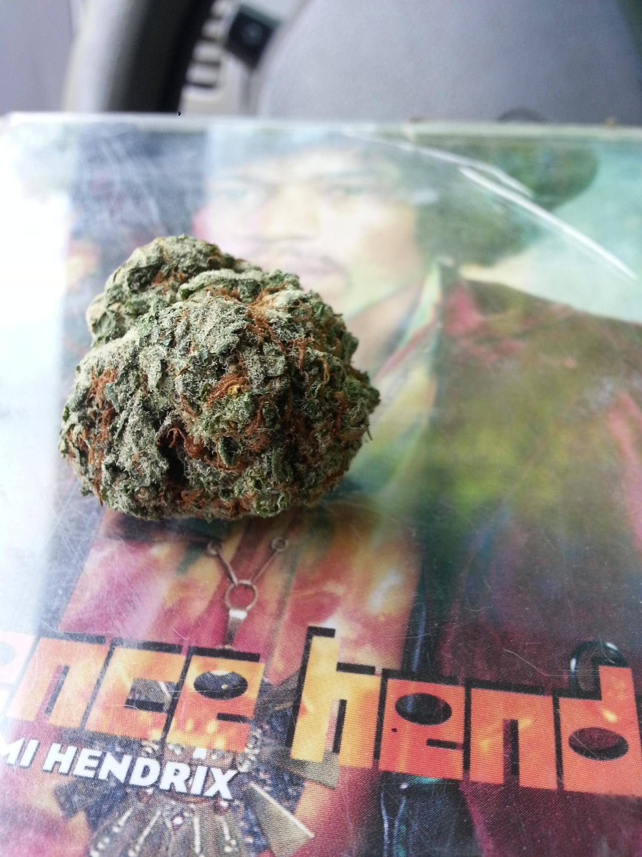 reddlr-trees:
“Homegrown Michigan bud.
”