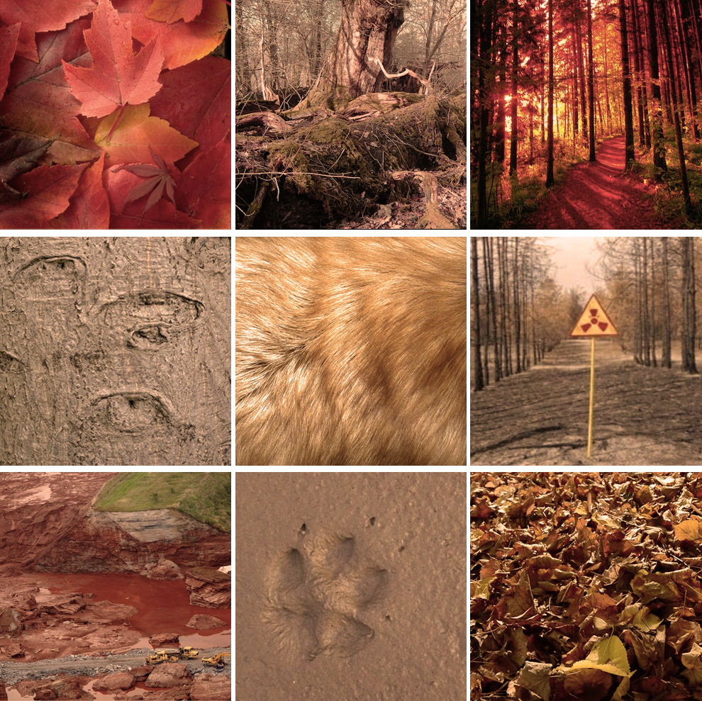 red fox therian moodboard/wallpaper in 2023