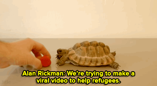 wafflesworld:  micdotcom:  Watch the video and read more about this brilliantly simple