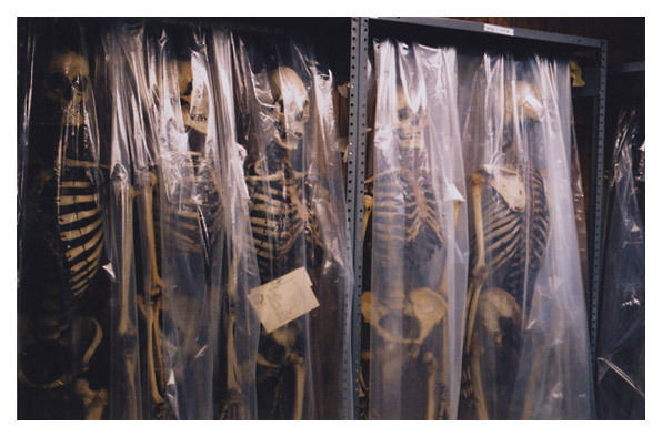 theoddcollection:  Skeletons in storage at the Mütter Museum in Philadelphia. (Source)