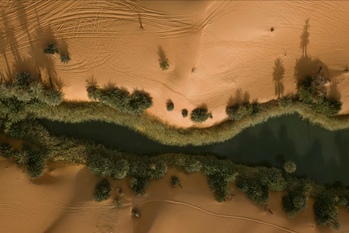 audidas:Oasis