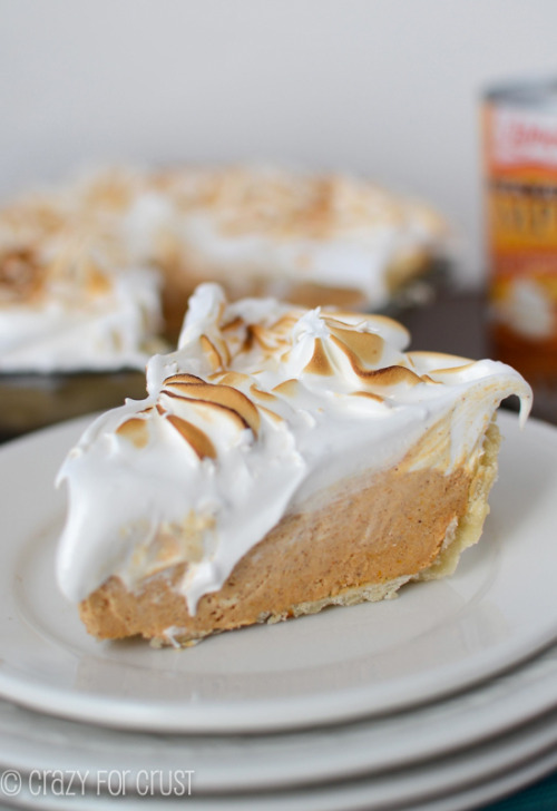 seefooddieit: (Frozen Pumpkin Meringue Pie)