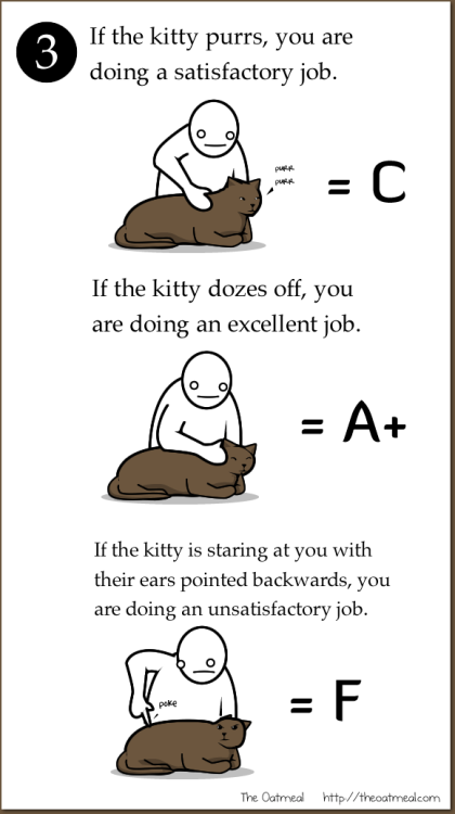 evidious:  chaoticbanter:  catsbeaversandducks:  Comic by ©The Oatmeal  I laugh, but it’s frighteningly true  Well that was a grim reminder for humanity….our lives are upon your mercy, whiskered beings 