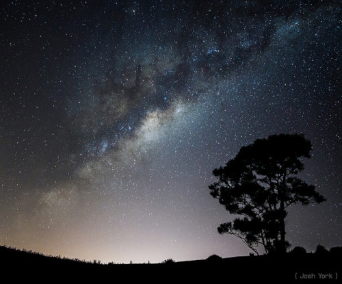 Milky Way, Waikato, New Zealandjs