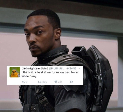 bert-and-ernie-are-gay:Sam Wilson x @ ProBirdRights [insp.][from the twitter genius of stuckyparty]