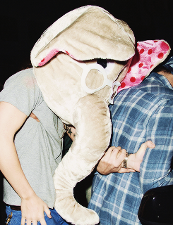 dailyonedirection:  HARRY STYLES’ COSTUMES OF 2013: the boxing kangaroo, a horse,