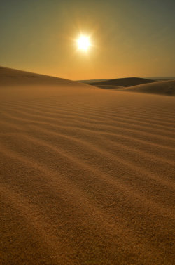 safesexgay:  senerii:  Mui Ne Dunes II by