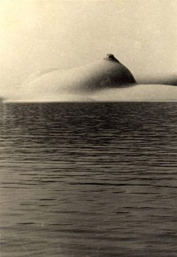 Scenery with Ocean from Anxious Corridor by Kansuke Yamamoto, 1938 Also