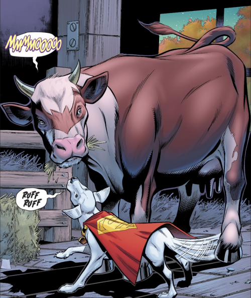 @confetti-cat Yes, Bat-Cow Is An Actual Character From The Comics!