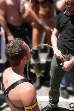 Cigarpervdad:  Realmen6O:  Newyorkpiss:  Find Awesome Toys And Gear For Piss Lovers