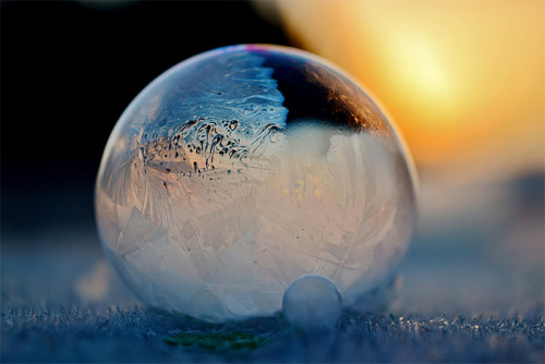 actegratuit:  Frozen Bubbles! Washington-based photographer Angela Kelly captured these breathtaking images of soap bubbles freezing at 15,8°F (-9°C) for her “Life in a bubble” series. 