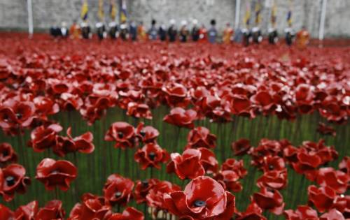 micdotcom:  Breathtaking photos show how Britain does Veterans Day   Veterans Day isn’t just an American holiday. While Americans remember veterans of all wars, the federal holiday coincides with Armistice Day or Remembrance Day, where countries around