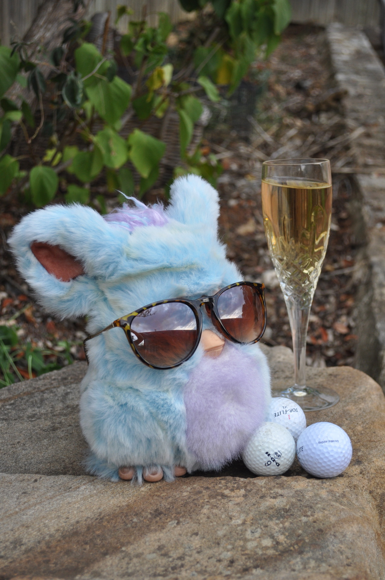 furby with glasses