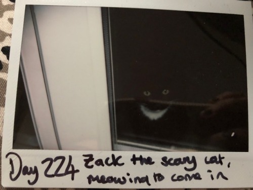 Day 224. Zach