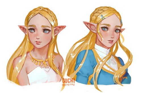 eafrns:I like botw Zelda