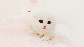 ihearteng:  △   