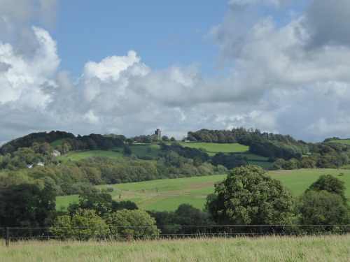 The sun came out in Wales today and I visited the National Botanic Gardens