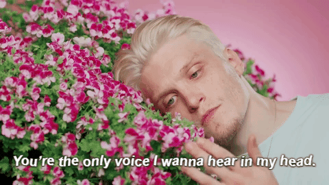 my-area51:// In Bloom // Neck Deep //