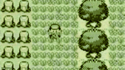 onamisama-moved: