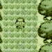 onamisama-moved: