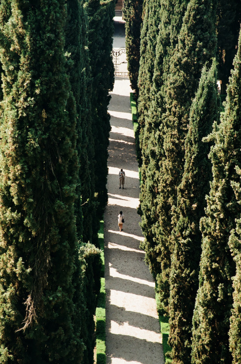 Antronaut:giardino Giusti, Verona, 2019